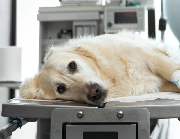 Anestesia y Monitoreo Veterinario