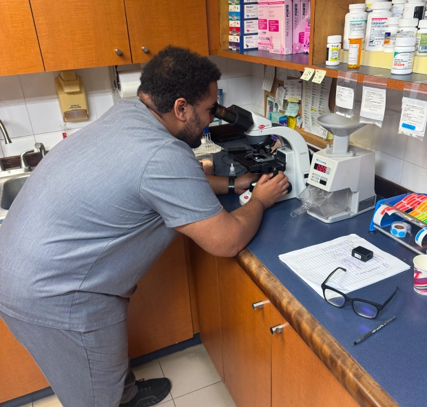 Laboratorio Veterinario