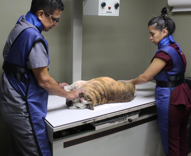 Radiología Veterinaria